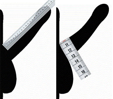 Правильное измерение длины и обхвата